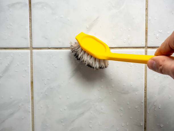 Best Emergency Mold Remediation in Smyrna, TN