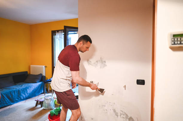 Smyrna, TN Mold Remediation Company